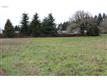 4  Alvadore Rd , Junction City, OR