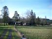 83150 Rattlesnake Rd, Dexter, OR 97431