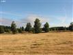 91052  Commercial St , Junction City, OR