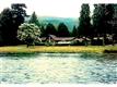 89136  Bridge St , Springfield, OR