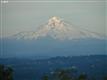 17650 NE Leander Dr , Sherwood, OR