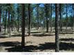 13640  Winslow Ct 