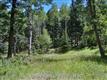 146 Waterfall Lp, Manitou Springs, CO 80829