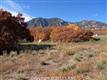 6326  Farthing Dr 