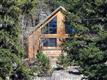 82  Steelhead Dr , Lake George, CO