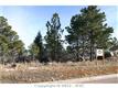 6055  Buttermere Dr , Colorado Springs, CO
