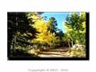 5286 Lost Cabin Rd, Colorado Springs, CO 80829