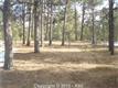 15084  Pole Pine Pt , Colorado Springs, CO