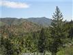 TBD  Mountain Av 
