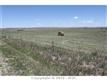 13475 N Peyton Hw, Peyton, CO 80831