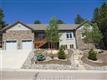 1340 Masters Dr, Woodland Park, CO 80863