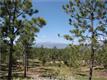 14155  Marble Arch Ct , Colorado Springs, CO