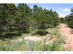 11995  Sir Galahad Dr , Colorado Springs, CO