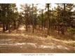 11025  Huntsman Rd , Colorado Springs, CO