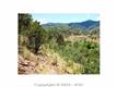 323  Oak Pl , Manitou Springs, CO
