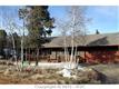 446 Lost Lake Dr, Divide, CO 80814