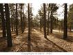 11055  Huntsman Rd , Colorado Springs, CO