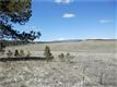 250  Panuard Ln , Hartsel, CO