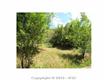 327  Oak Pl , Manitou Springs, CO