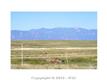 14585  Park Canyon Rd , Colorado Springs, CO