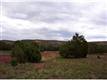 68  Teddy Ln W, Ashfork, AZ