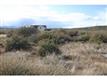 17070  Serene Haven E, Dewey -Humboldt, AZ