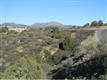 393  Rim Trail , Prescott, AZ