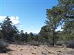 13670  Indian Pony Trl Lot 154 N, Prescott, AZ