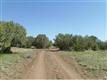 0  Bunny View , Ashfork, AZ