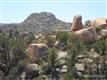 Prescott