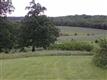 42075 Dawn Rd, Plato, MO 65552