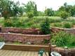 24646 Rustler Lane, Richland, MO 65556