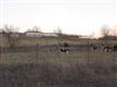 14500 Buffalo Road, Crocker, MO 65452