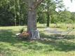 11599 Hwy 32, Plato, MO 65557
