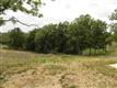 17125 Lantern Lane, Dixon, MO 65459