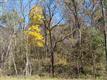 00001 Cave Road, Dixon, MO 65459