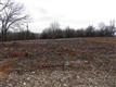 xxx Hwy Aw, Plato, MO 65552