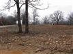 xxx Hwy Aw, Plato, MO 65552