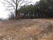 xxx Hwy Aw, Plato, MO 65552
