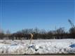  Warner Estate Dr #11, Appleton, WI 54913