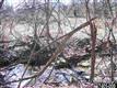 745 Jacks Mountain Rd, Fairfield, PA 17320