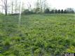 LOT#4  Davidsburg Road , Dover, PA