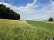 Lot 8 Anderson Road #8, Fawn Grove, PA 17321