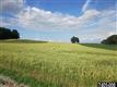 Lot 4 Anderson Road #4, Fawn Grove, PA 17321