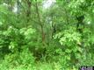 Lot 2  Water Tank Road , Glenville, PA