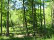 Rutherfordton