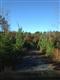 Rutherfordton