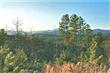 Lot 22  South Vista Ridge Drive , Rutherfordton, NC