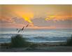 519 S Beach Road, Hobe Sound, FL 33455
