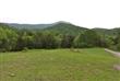 515 Wilderness Ln, Troutville, VA 24175